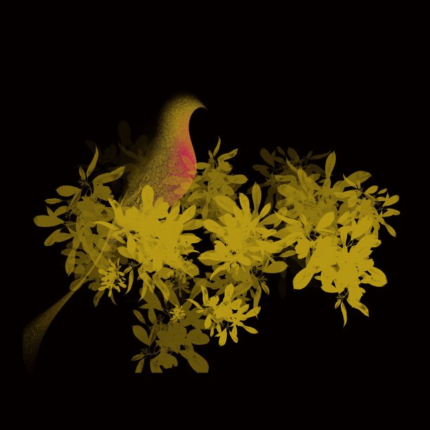 剪影黄色的鸟在树枝上的插图图片下载