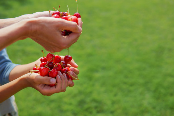 一把成熟的浆果图片下载