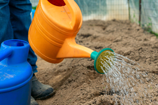 园丁在播种前给温室里的土壤浇水。当地农业图片下载