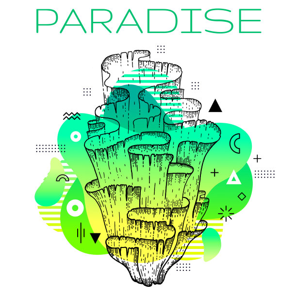 海草夏季海报海草手绘图片下载