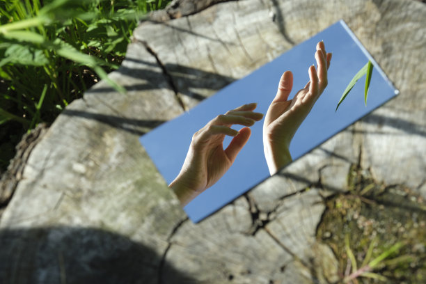 抽象。女人的手在镜子里拿着一朵花。背景是一个木材纹理。自然,特写。照片为屏幕保护程序图片下载