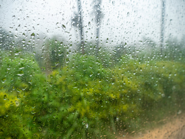 雨滴在窗户上的特写照片。在雨中透过玻璃看森林图片下载
