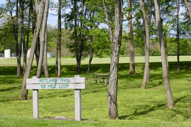 森林野餐区图片下载