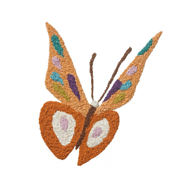 干碎颜色眼影蝴蝶状孤立在白色图片下载