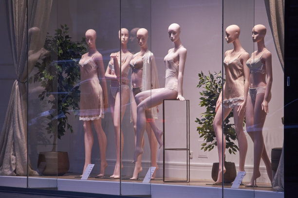精品展示窗口与人体模型在时尚的内衣，选择性的焦点图片下载