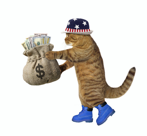 带着一袋美元走的猫图片下载
