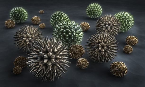 花粉-花粉粒的三维渲染图图片下载