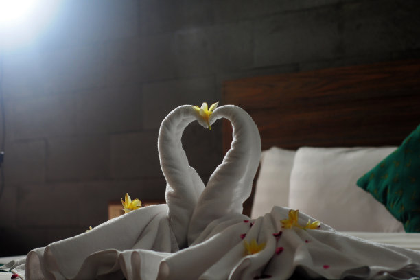 天鹅夫妇蜜月床酒店装修图片下载