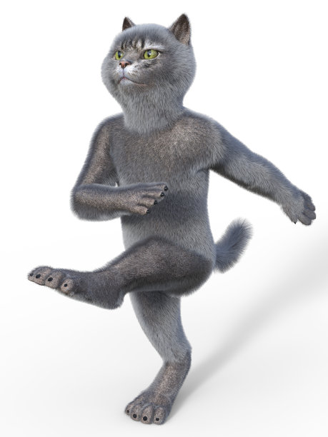 猫高高地抬起左腿前进图片下载