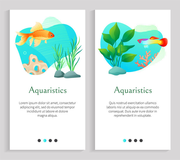 水族鱼类在海洋或海水中的海藻图片下载