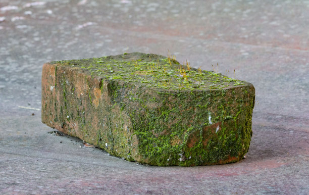 红砖，古老，长满青苔。它位于金属表面上。图片下载