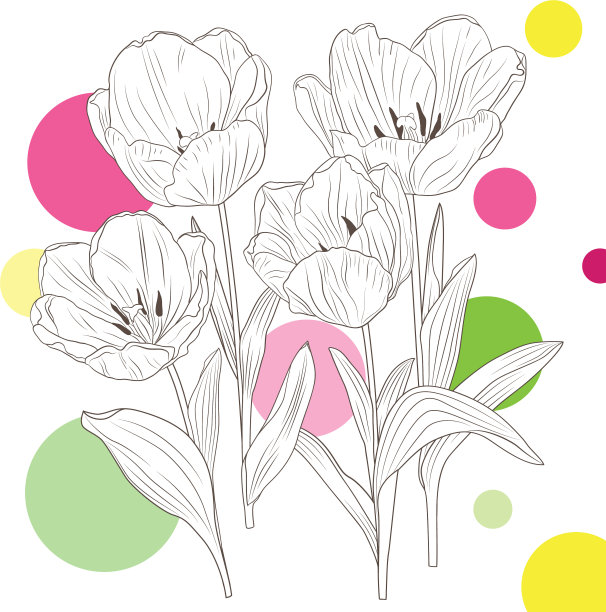 轮廓tulips-01图片下载