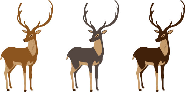 三只漂亮的小鹿角图片下载