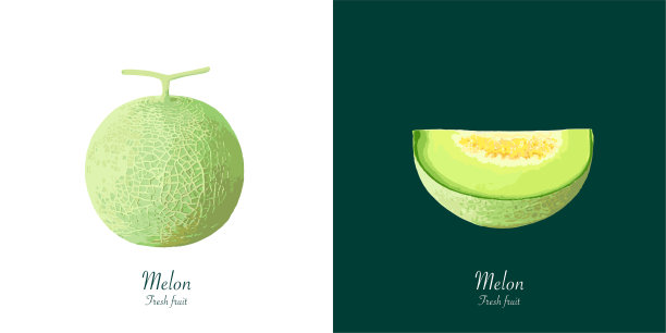 背景为白色和深绿色的甜瓜图片下载