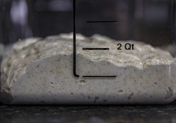 粗糙的黑麦和小麦发酵面团混合后的手工乡村酵母全麦面包面团，照片系列图片下载