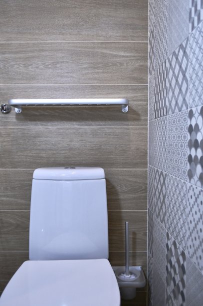 更衣室的碎片。卫生淋浴，空架子，马桶座圈和卫生刷圈。图片下载