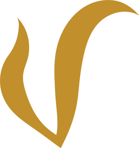 V字母图标模板图片下载