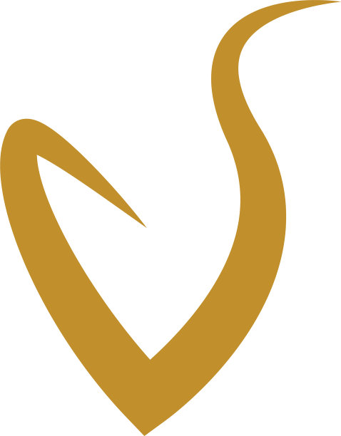 V字母图标模板图片下载