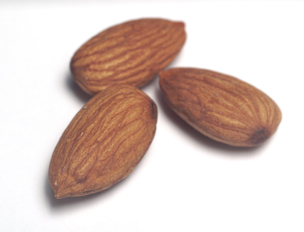 白色背景上的坚果。图片下载