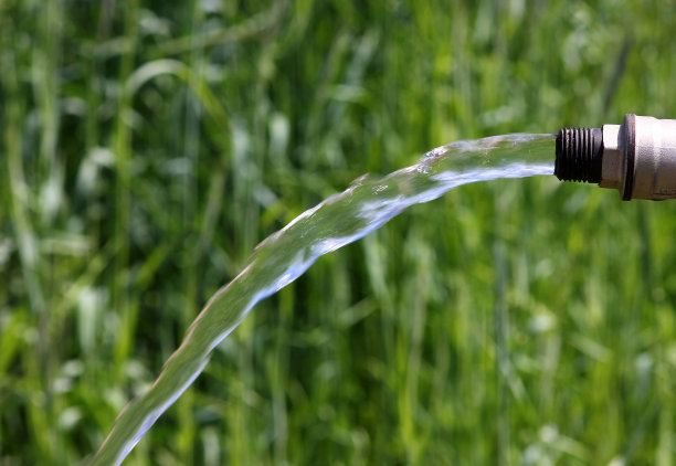 一股清澈的水在绿色植物模糊的背景上流过图片下载