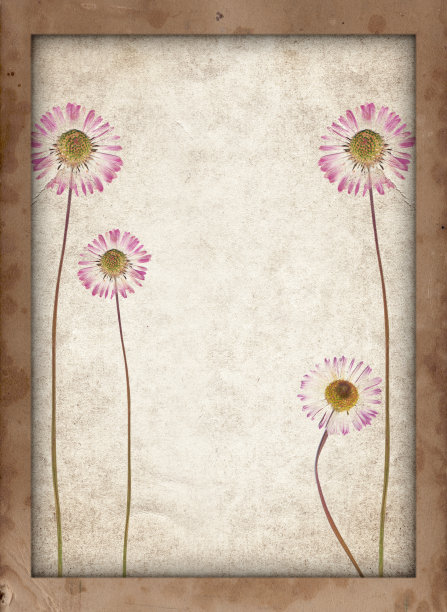 古老的纹理与干花和复古的纸背景图片下载