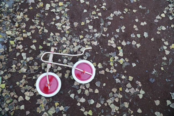 木制平衡自行车和秋叶图片下载