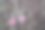 木制平衡自行车和秋叶图片下载