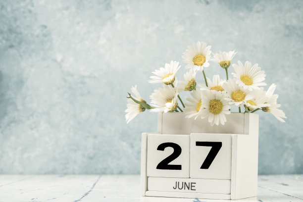用雏菊花装饰的六月白方日历图片下载