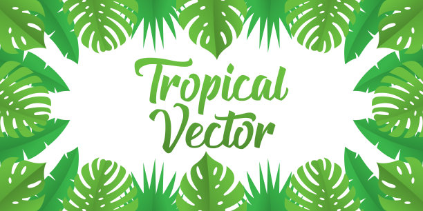 热带矢量背景设计插图。热带树叶矢量平面设计插图。摘要热带夏季背景设计模板为横幅、图案、请帖、海报、宣传册。图片下载