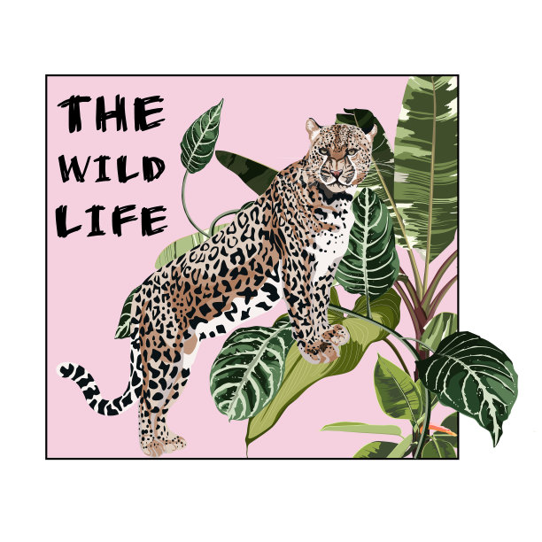 优雅的豹纹和热带的叶子图片下载