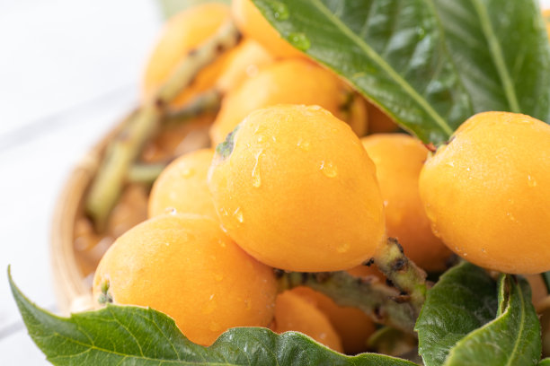 近距离观察在家中收获的枇杷图片下载