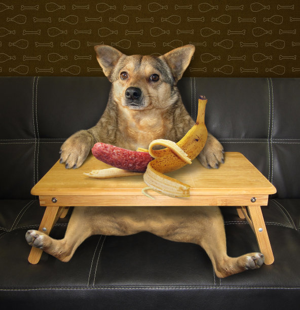 狗想吃香蕉图片下载