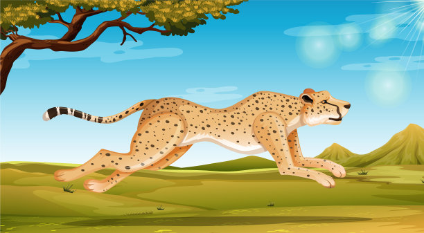 白天在野外奔跑的野生猎豹图片下载