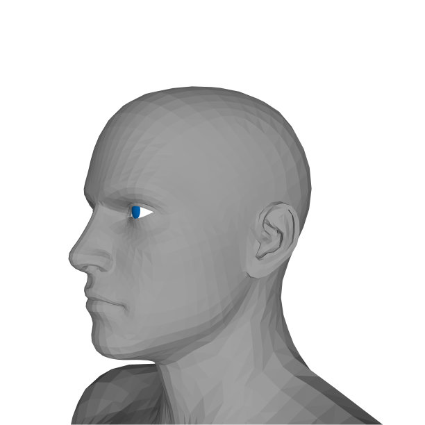 人头孤立在白色背景上图片下载