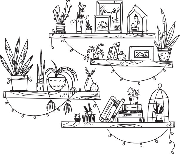 手绘书架上有书，室内植物和图片下载