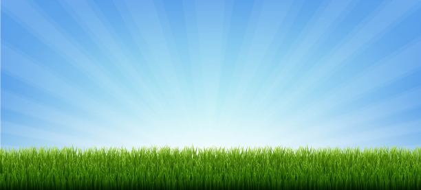 阳光背景下的绿草边旗图片下载