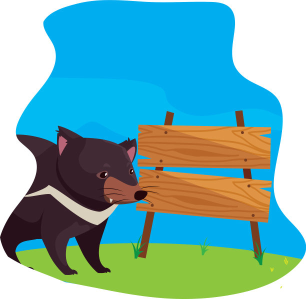 澳洲袋獾的背景图片下载