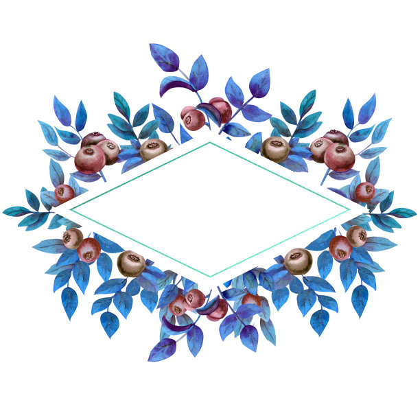 几何框架与成熟的蓝莓在一个白色孤立的背景蓝色调。水彩插图图片下载