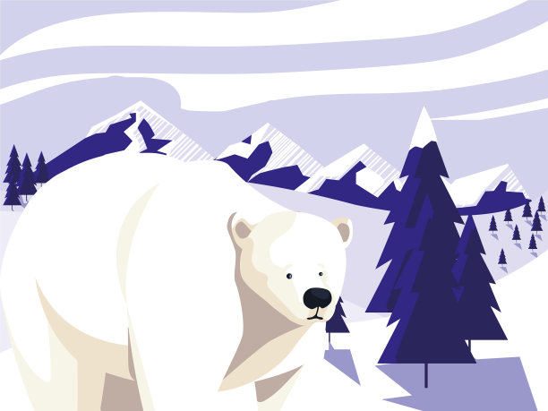 北极熊在北极的北极景观图片下载