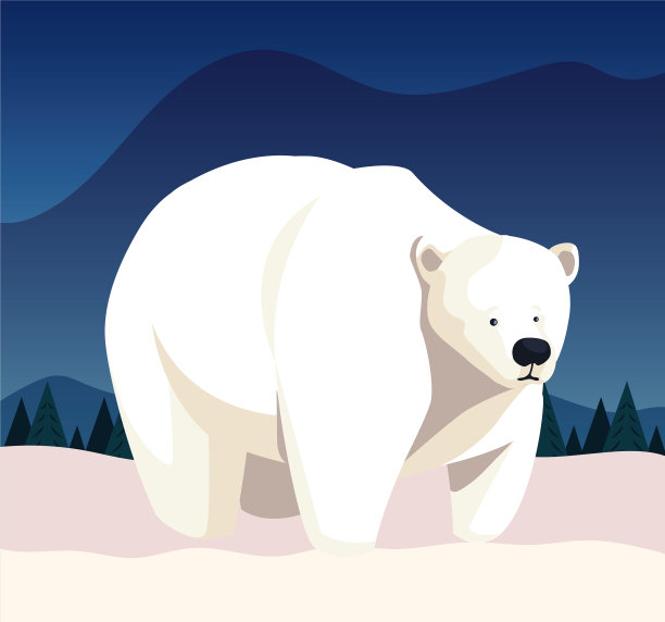 北极熊在北极的北极景观图片下载