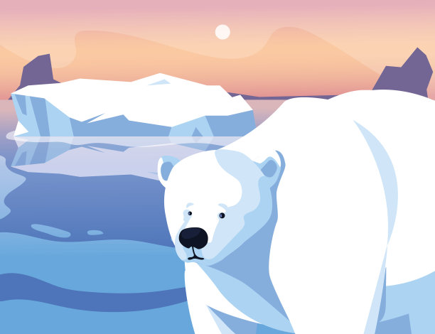 北极熊在北极的北极景观图片下载