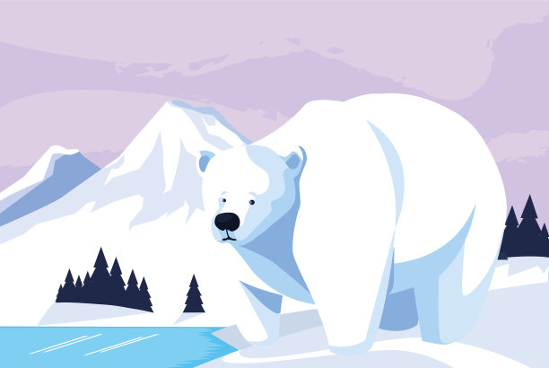 北极熊在北极的北极景观图片下载