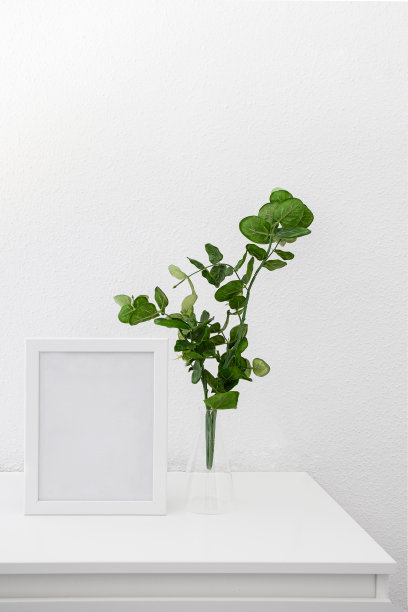 空的白色框架模型与绿色桉树植物花瓶在一个白色的桌子。图片下载