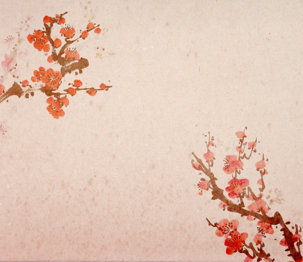 中国画的花，白底梅花。图片下载