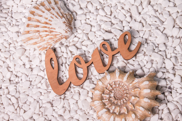 木字“爱”和贝壳图片下载