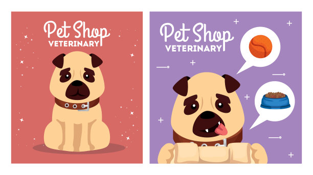 设置海报宠物店兽医与图标图片下载