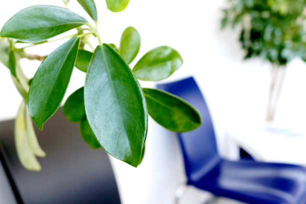 医生办公室，候诊室图片下载