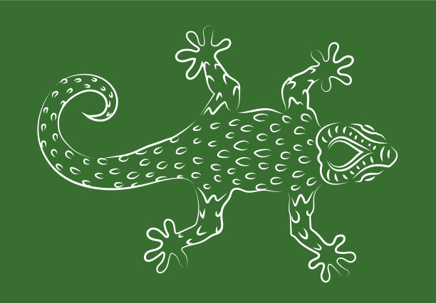 手绘线条艺术与壁虎剪影图片下载