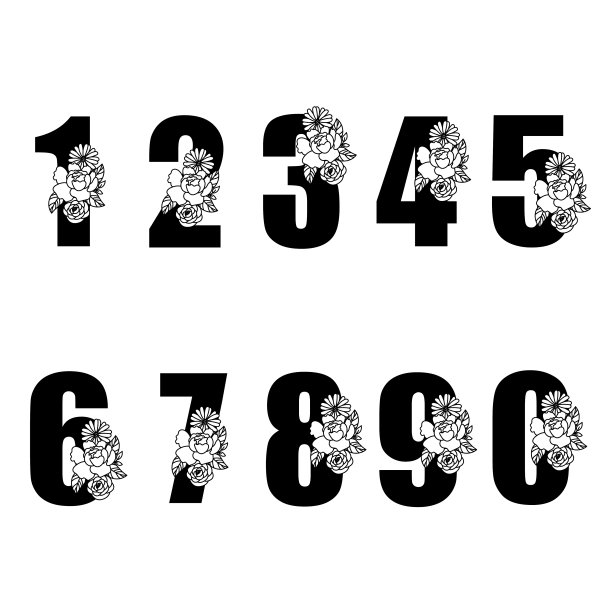 花umbers设置与鲜花束元素浪漫风格的切割生日和婚礼贺卡装饰。图片下载