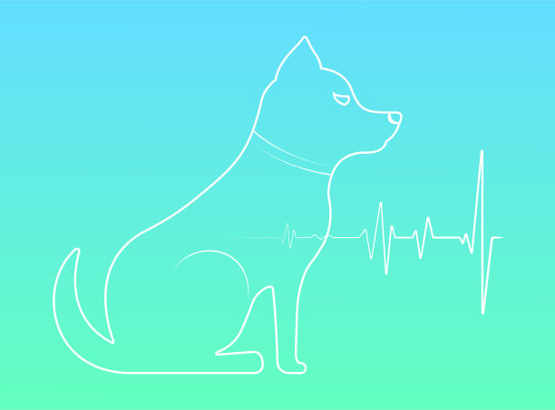 可爱的狗图片下载